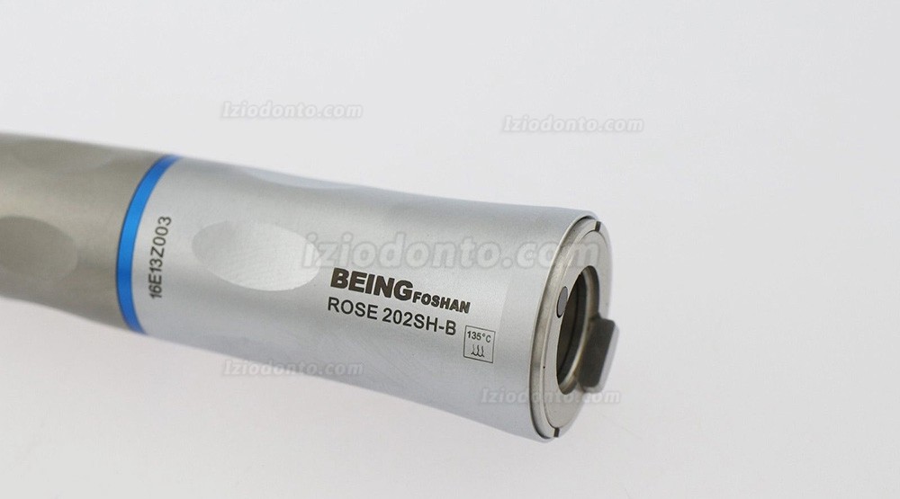 BEING Rose202-SH-B Fibra ótica Baixa velocidade Peça Reta Odontologia Tipo E